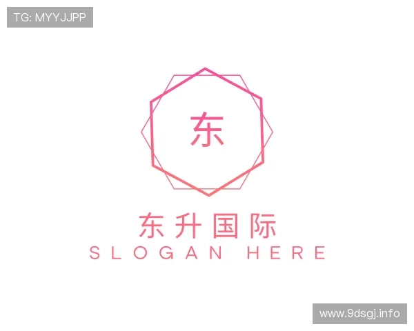 导引东升国际